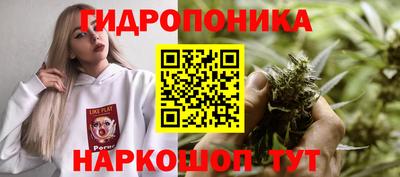 альфа пвп Малгобек