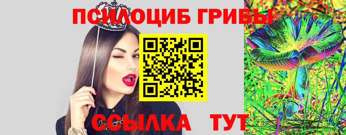 Галлюциногенные грибы Psilocybe Кашира
