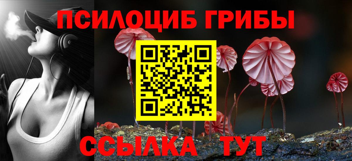 Псилоцибиновые грибы MAGIC MUSHROOMS Кашира